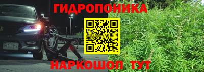 a pvp Лесной